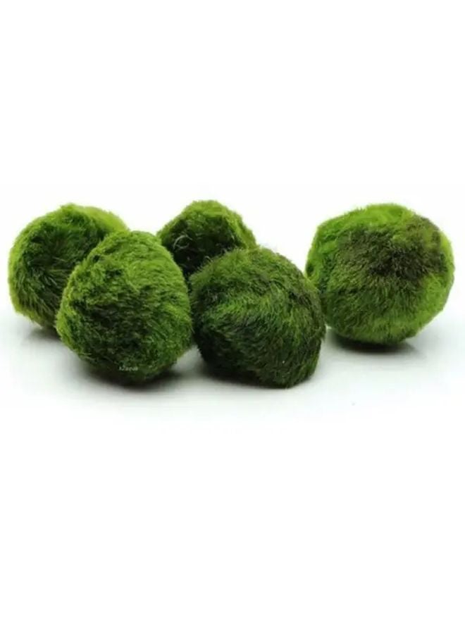 كرات الطحالب ماريمو الاصطناعية نباتات حوض السمك الواقعية نسيج الطحالب الخضراء متين مادة البولي بروبيلين الكمية 1 - Image 5